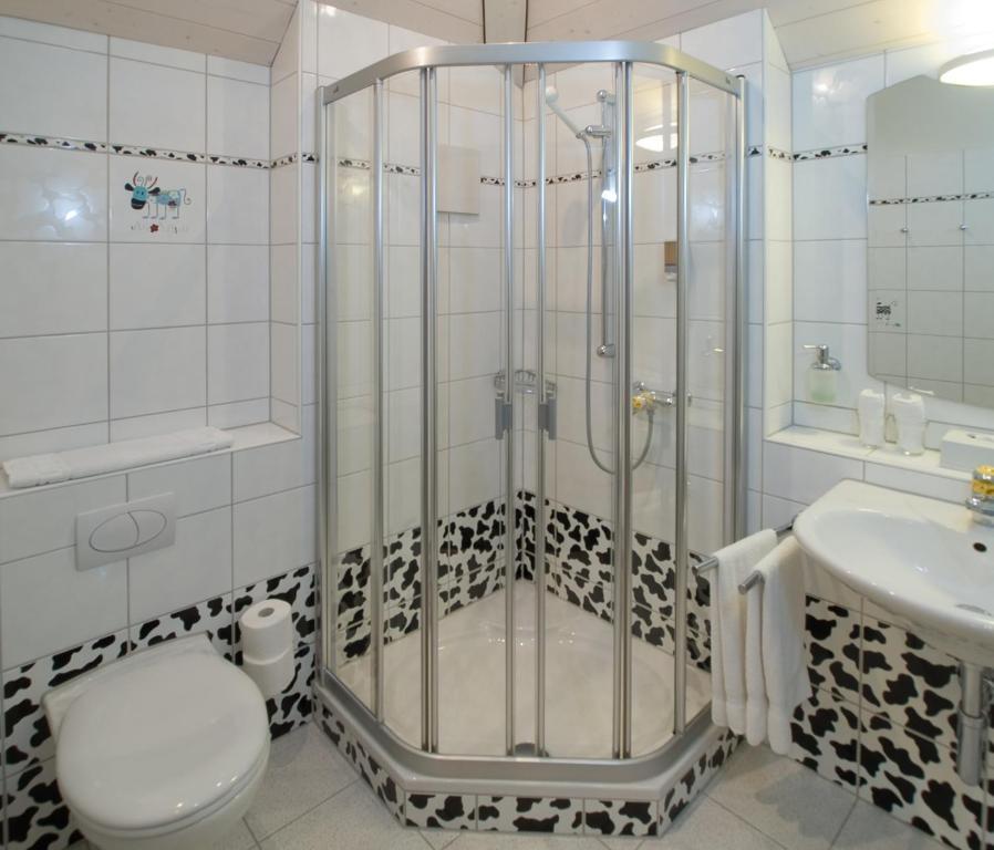Seehotel Delphin Meisterschwanden Rom bilde