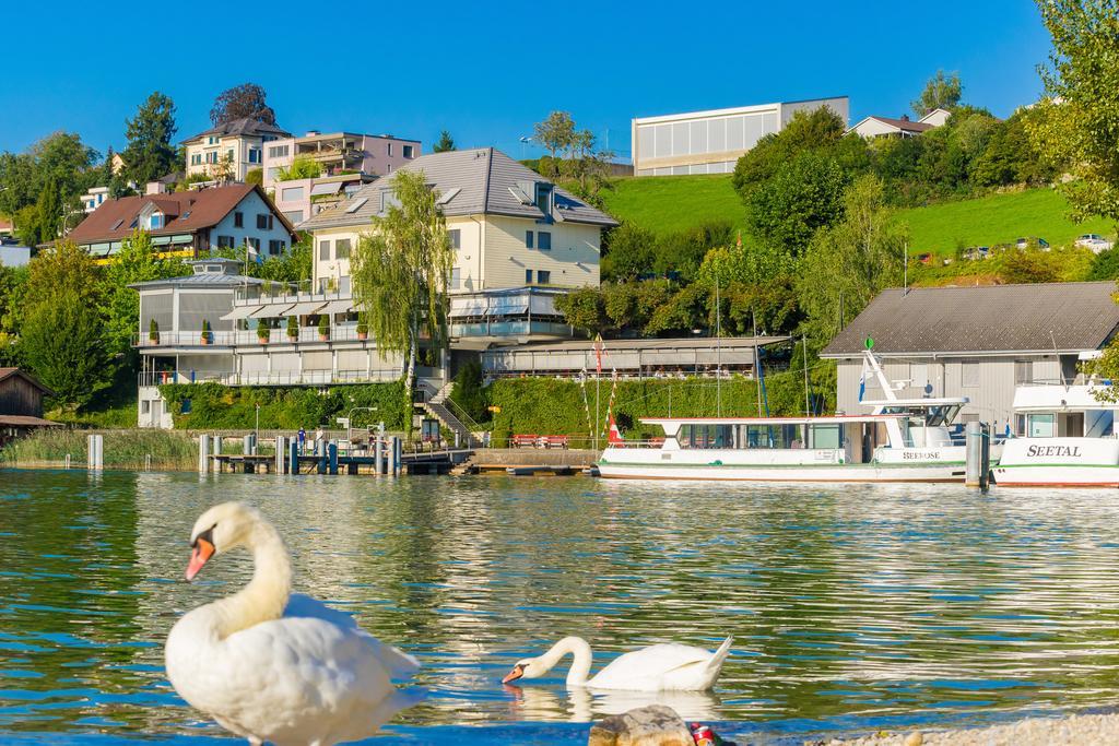 Seehotel Delphin Meisterschwanden Eksteriør bilde